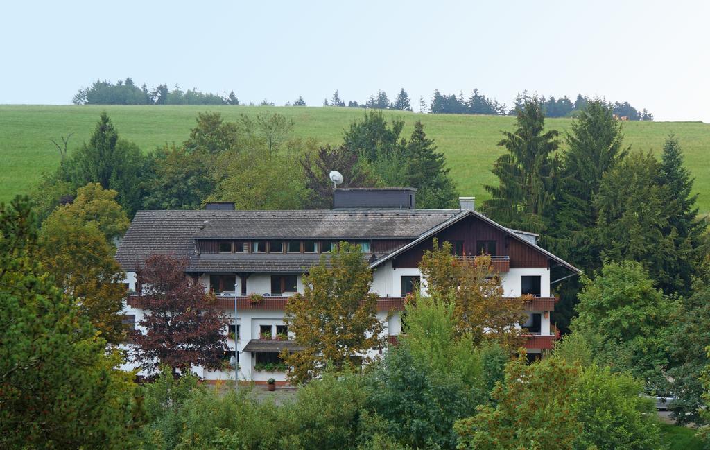 Alemannenhof Hotel Engel 里肯巴赫 外观 照片